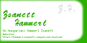 zsanett hammerl business card